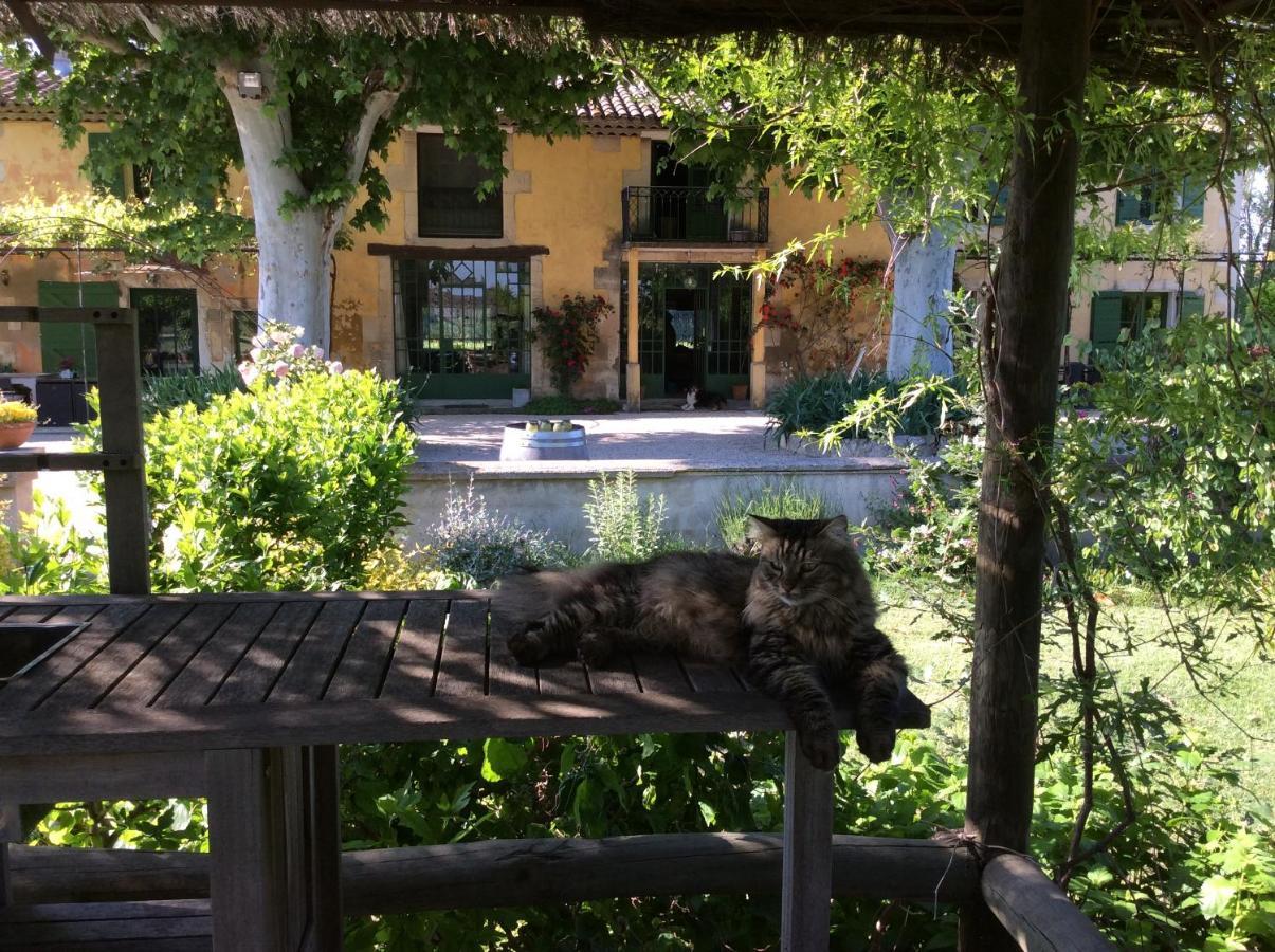 Bed and Breakfast La Bergerie De Castellan Verquieres Экстерьер фото