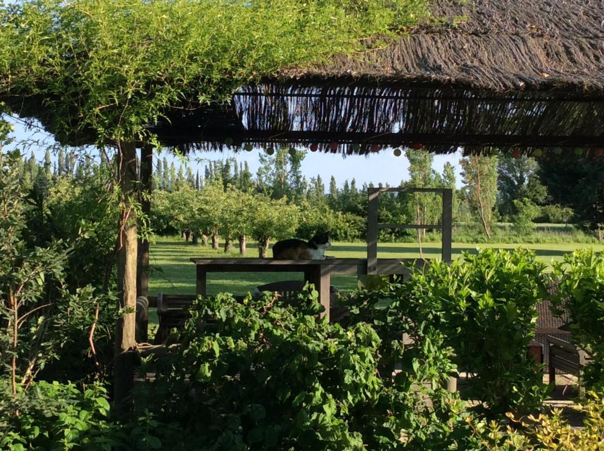 Bed and Breakfast La Bergerie De Castellan Verquieres Экстерьер фото