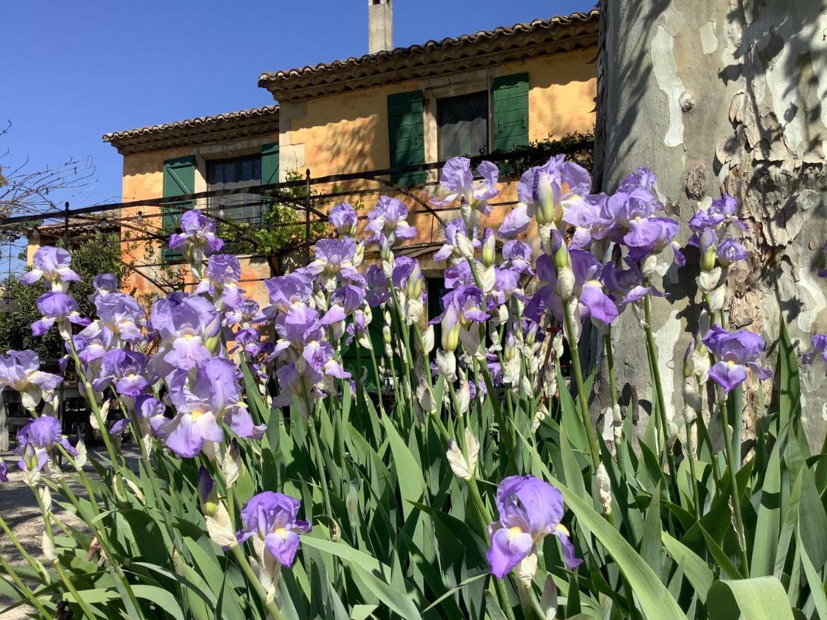 Bed and Breakfast La Bergerie De Castellan Verquieres Экстерьер фото